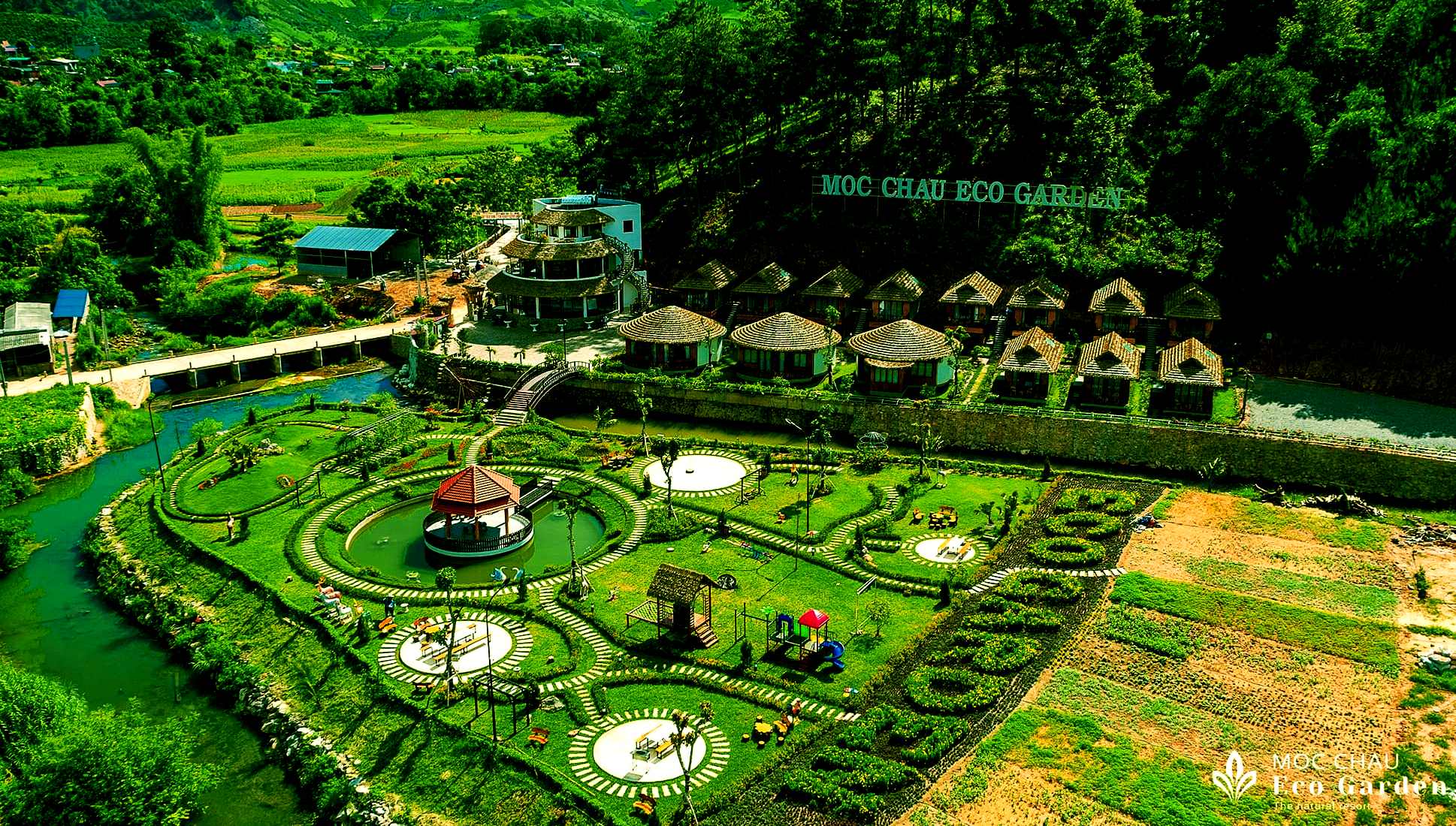 Tổng quan